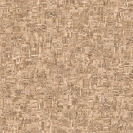 Линолеум TEXTURE SIMPLY FRESCO 5 (2,5) Линолеум TEXTURE SIMPLY FRESCO 5 (2,5)