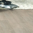 Ламинат KIWI 8 мм 32 кл Вяз 0107041 Ламинат KIWI 8 мм 32 кл Вяз 0107041